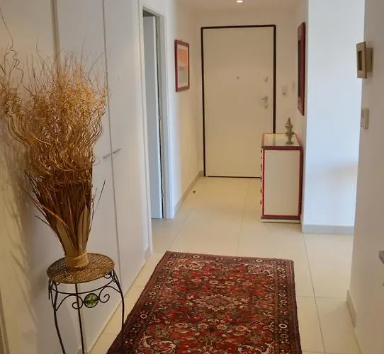 Vue Corse Sud פרופריאנו